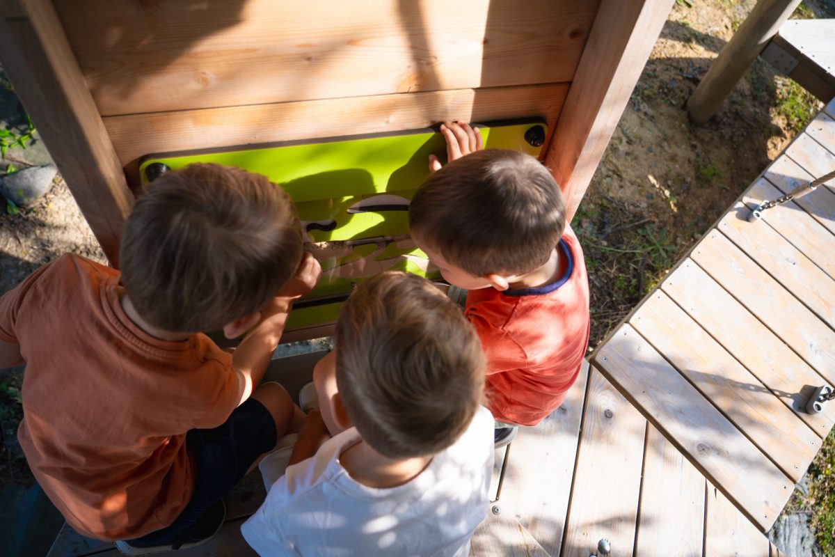 Mierenboerderij Arborea Play®